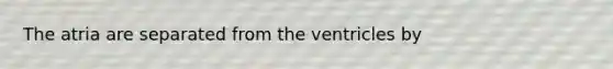 The atria are separated from the ventricles by