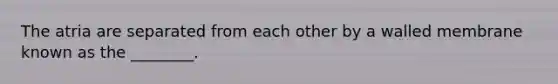 The atria are separated from each other by a walled membrane known as the ________.