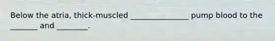 Below the atria, thick-muscled _______________ pump blood to the _______ and ________.