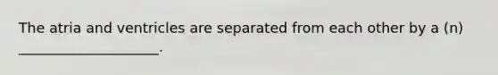 The atria and ventricles are separated from each other by a (n) ____________________.