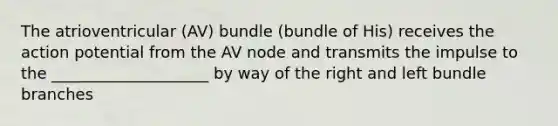 The atrioventricular (AV) bundle (bundle of His) receives the action potential from the AV node and transmits the impulse to the ____________________ by way of the right and left bundle branches