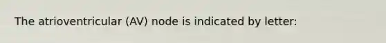 The atrioventricular (AV) node is indicated by letter: