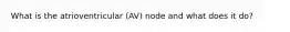 What is the atrioventricular (AV) node and what does it do?