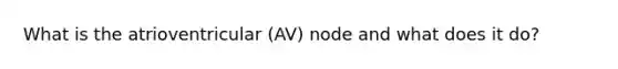 What is the atrioventricular (AV) node and what does it do?