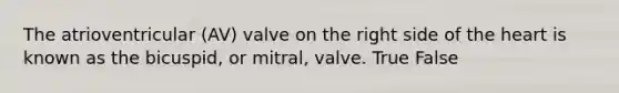 The atrioventricular (AV) valve on the right side of the heart is known as the bicuspid, or mitral, valve. True False