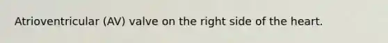 Atrioventricular (AV) valve on the right side of the heart.