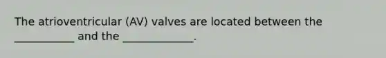 The atrioventricular (AV) valves are located between the ___________ and the _____________.