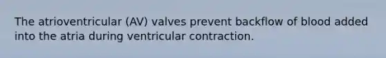 The atrioventricular (AV) valves prevent backflow of blood added into the atria during ventricular contraction.