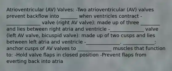 Atrioventricular (AV) Valves: -Two atrioventricular (AV) valves prevent backflow into _______ when ventricles contract -______________ valve (right AV valve): made up of three ________ and lies between right atria and ventricle -______________ valve (left AV valve, bicuspid valve): made up of two cusps and lies between left atria and ventricle -______________. _____________: anchor cusps of AV valves to ______________ muscles that function to: -Hold valve flaps in closed position -Prevent flaps from everting back into atria