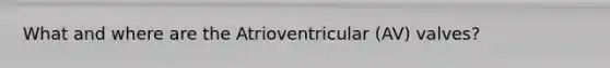 What and where are the Atrioventricular (AV) valves?