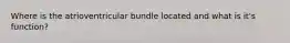 Where is the atrioventricular bundle located and what is it's function?