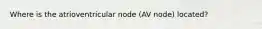 Where is the atrioventricular node (AV node) located?