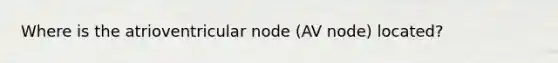 Where is the atrioventricular node (AV node) located?