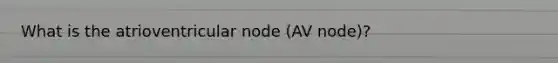 What is the atrioventricular node (AV node)?