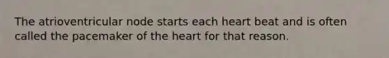 The atrioventricular node starts each heart beat and is often called the pacemaker of the heart for that reason.