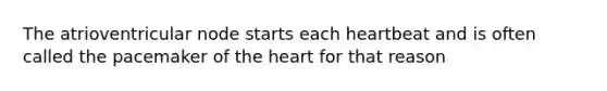 The atrioventricular node starts each heartbeat and is often called the pacemaker of <a href='https://www.questionai.com/knowledge/kya8ocqc6o-the-heart' class='anchor-knowledge'>the heart</a> for that reason