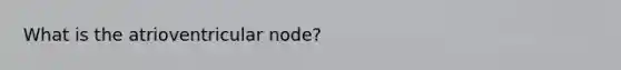 What is the atrioventricular node?