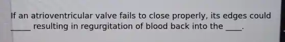 If an atrioventricular valve fails to close properly, its edges could _____ resulting in regurgitation of blood back into the ____.