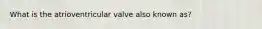 What is the atrioventricular valve also known as?