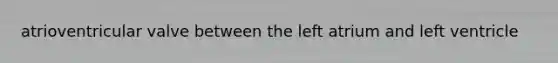 atrioventricular valve between the left atrium and left ventricle