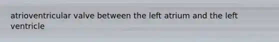 atrioventricular valve between the left atrium and the left ventricle