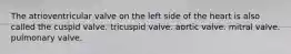 The atrioventricular valve on the left side of the heart is also called the cuspid valve. tricuspid valve. aortic valve. mitral valve. pulmonary valve.