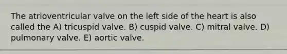 The atrioventricular valve on the left side of the heart is also called the A) tricuspid valve. B) cuspid valve. C) mitral valve. D) pulmonary valve. E) aortic valve.