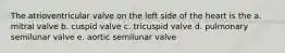 The atrioventricular valve on the left side of the heart is the a. mitral valve b. cuspid valve c. tricuspid valve d. pulmonary semilunar valve e. aortic semilunar valve