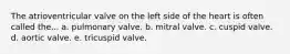 The atrioventricular valve on the left side of the heart is often called the... a. pulmonary valve. b. mitral valve. c. cuspid valve. d. aortic valve. e. tricuspid valve.