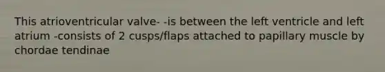 This atrioventricular valve- -is between the left ventricle and left atrium -consists of 2 cusps/flaps attached to papillary muscle by chordae tendinae