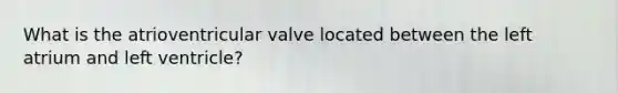 What is the atrioventricular valve located between the left atrium and left ventricle?