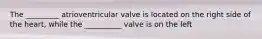 The _________ atrioventricular valve is located on the right side of the heart, while the __________ valve is on the left