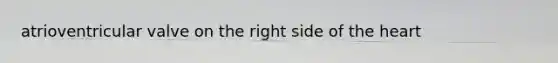 atrioventricular valve on the right side of <a href='https://www.questionai.com/knowledge/kya8ocqc6o-the-heart' class='anchor-knowledge'>the heart</a>