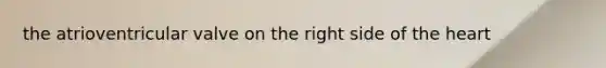 the atrioventricular valve on the right side of <a href='https://www.questionai.com/knowledge/kya8ocqc6o-the-heart' class='anchor-knowledge'>the heart</a>