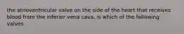 the atrioventricular valve on the side of the heart that receives blood from the inferior vena cava, is which of the following valves