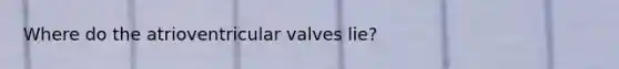 Where do the atrioventricular valves lie?