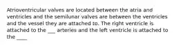 Atrioventricular valves are located between the atria and ventricles and the semilunar valves are between the ventricles and the vessel they are attached to. The right ventricle is attached to the ___ arteries and the left ventricle is attached to the ____