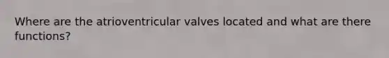 Where are the atrioventricular valves located and what are there functions?