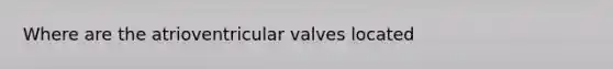 Where are the atrioventricular valves located