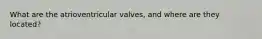 What are the atrioventricular valves, and where are they located?