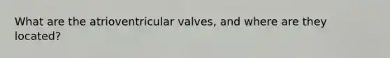 What are the atrioventricular valves, and where are they located?