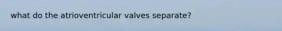 what do the atrioventricular valves separate?