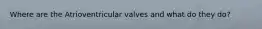 Where are the Atrioventricular valves and what do they do?