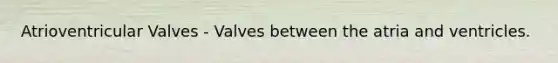 Atrioventricular Valves - Valves between the atria and ventricles.