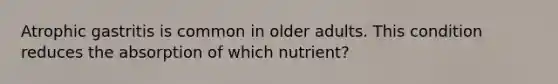 Atrophic gastritis is common in older adults. This condition reduces the absorption of which nutrient?