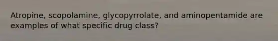 Atropine, scopolamine, glycopyrrolate, and aminopentamide are examples of what specific drug class?