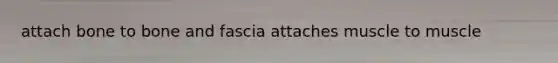 attach bone to bone and fascia attaches muscle to muscle