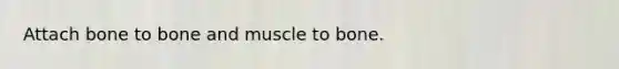 Attach bone to bone and muscle to bone.