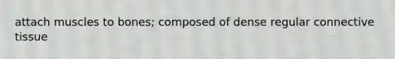 attach muscles to bones; composed of dense regular connective tissue