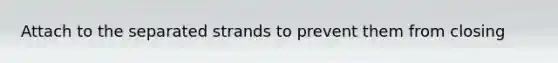 Attach to the separated strands to prevent them from closing